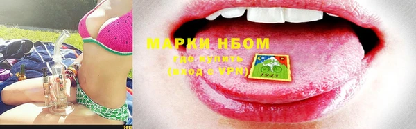 шишки Магадан