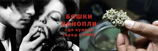 шишки Магадан