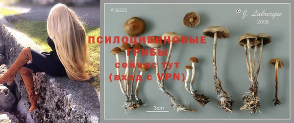2c-b Майский