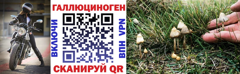 Псилоцибиновые грибы мицелий  Купить закладки  Новоуральск 